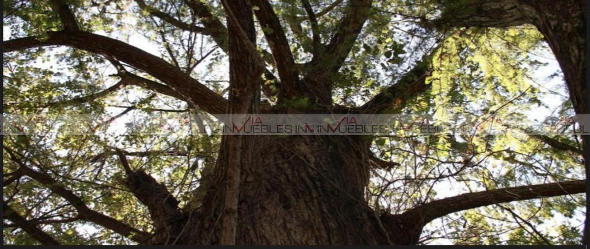 Foto de terreno habitacional en venta en  , sierra alta, monterrey, nuevo león, 26960420 No. 05
