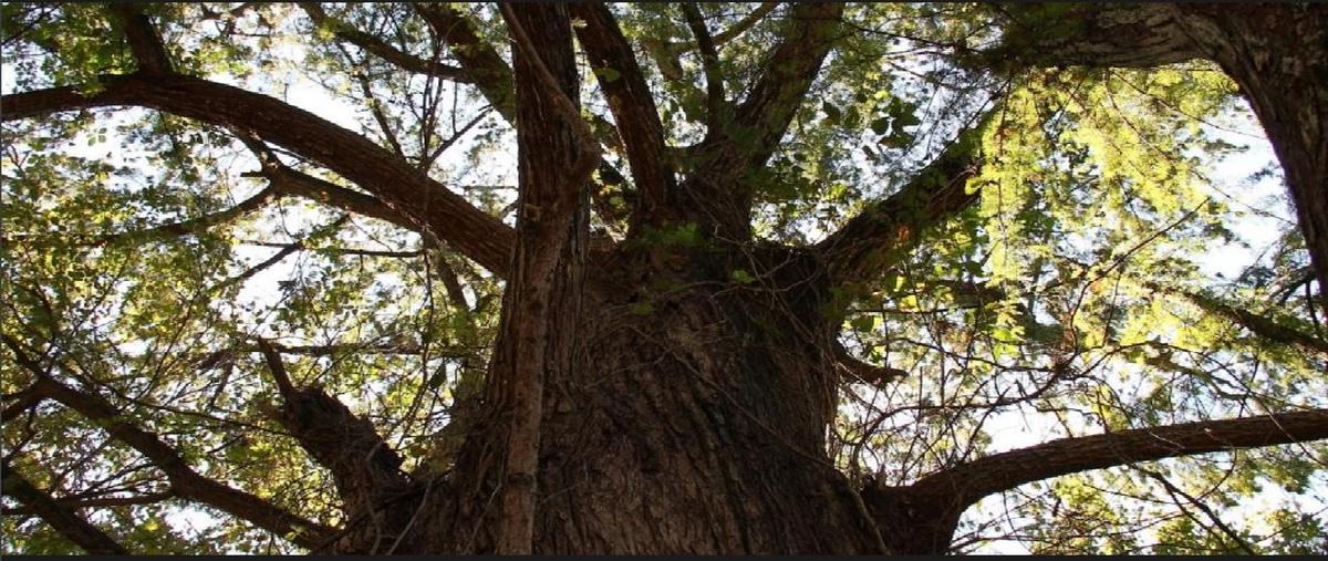 Foto de terreno habitacional en venta en  , sierra alta, monterrey, nuevo león, 0 No. 04