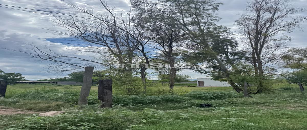 Foto de terreno habitacional en venta en  , sierra azul, chihuahua, chihuahua, 0 No. 04