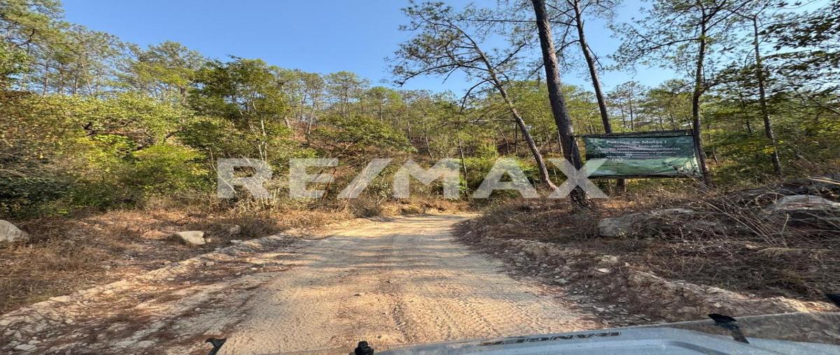 Foto de terreno habitacional en sierra de jalisco, potrero de mulas i , palmillas del cacao, puerto vallarta, jalisco, 28176770 foto 04 Foto de terreno habitacional en venta en sierra de jalisco, potrero de mulas i , palmillas del cacao, puerto vallarta, jalisco, 28176770 No. 04