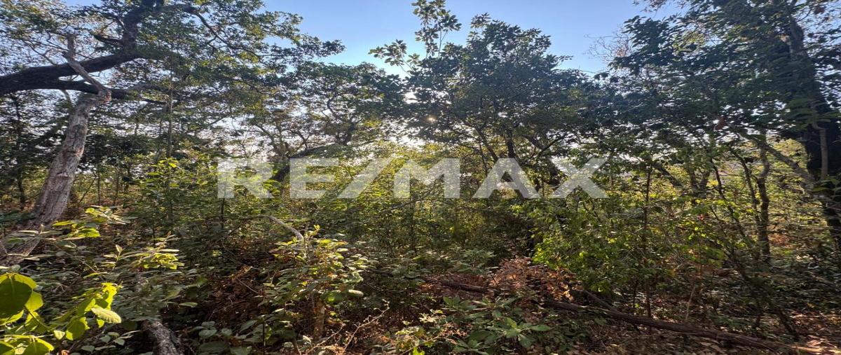 Foto de terreno habitacional en sierra de jalisco, potrero de mulas i , palmillas del cacao, puerto vallarta, jalisco, 28176770 foto 05 Foto de terreno habitacional en venta en sierra de jalisco, potrero de mulas i , palmillas del cacao, puerto vallarta, jalisco, 28176770 No. 05
