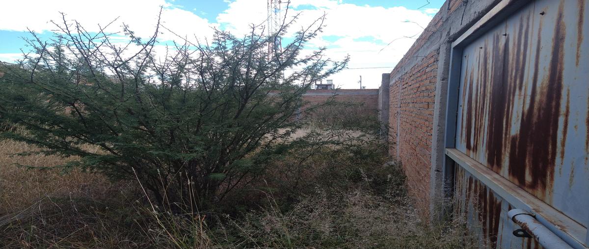 Foto de terreno habitacional en sierra de la candela , buenos aires, durango, durango, 26159288 foto 04 Foto de terreno habitacional en venta en sierra de la candela , buenos aires, durango, durango, 26159288 No. 04