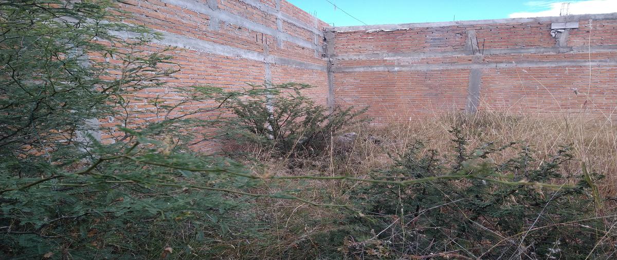 Foto de terreno habitacional en sierra de la candela , buenos aires, durango, durango, 26159288 foto 05 Foto de terreno habitacional en venta en sierra de la candela , buenos aires, durango, durango, 26159288 No. 05