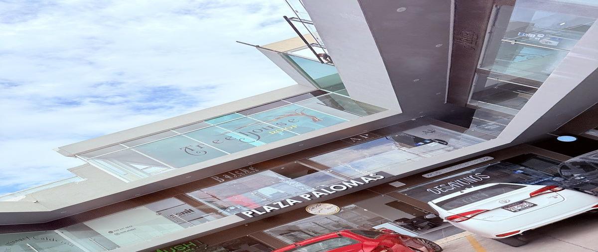 Foto de local en renta en sierra de las palomas , bosques del prado sur, aguascalientes, aguascalientes, 31093181 No. 03