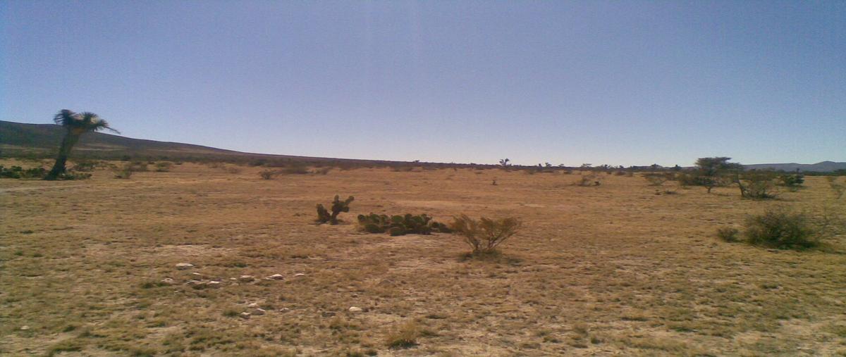 Foto de terreno habitacional en , sierra de pinos, pinos, zacatecas, 0 foto 02 Foto de terreno habitacional en venta en , sierra de pinos, pinos, zacatecas, 0 No. 02