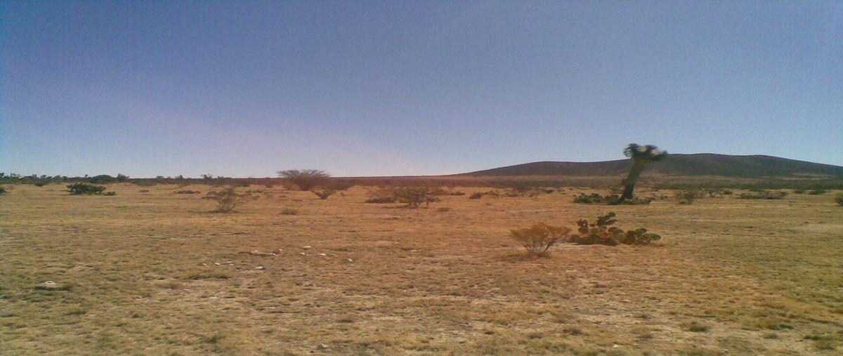 Foto de terreno habitacional en , sierra de pinos, pinos, zacatecas, 0 foto 03 Foto de terreno habitacional en venta en , sierra de pinos, pinos, zacatecas, 0 No. 03