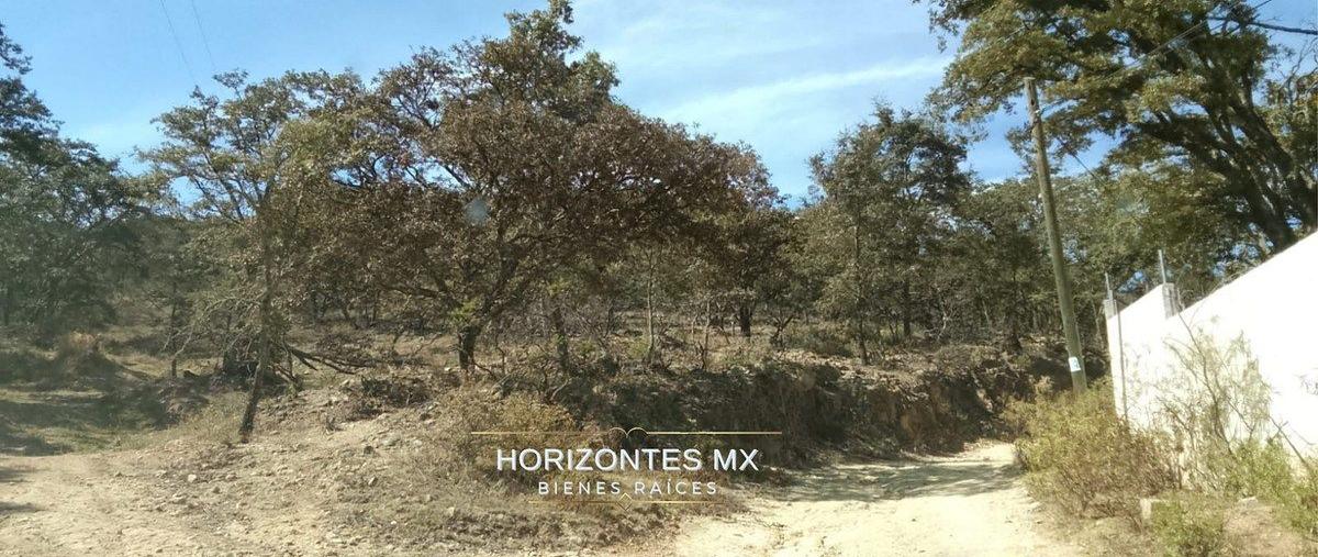 Foto de terreno habitacional en venta en sierra de santa rosa , santa rosa de lima, guanajuato, guanajuato, 0 No. 03