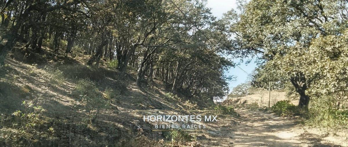 Foto de terreno habitacional en venta en sierra de santa rosa , santa rosa de lima, guanajuato, guanajuato, 0 No. 05