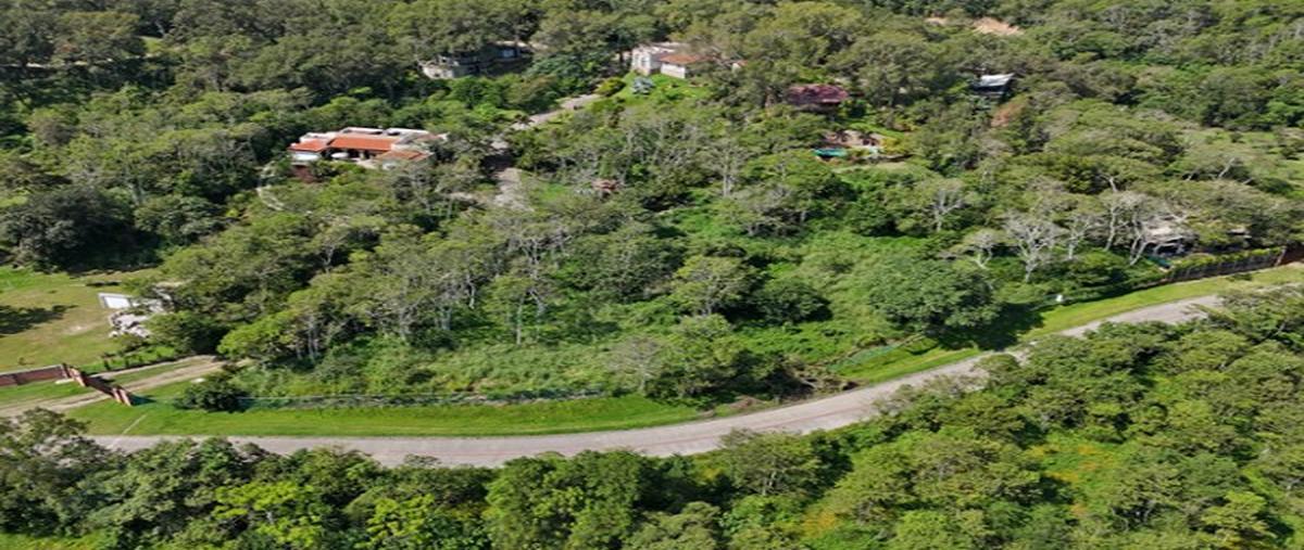 Foto de terreno habitacional en venta en  , sierra del mar, puerto vallarta, jalisco, 29373460 No. 04