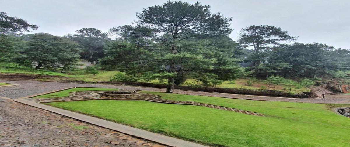 Foto de terreno habitacional en venta en sierra del tigre , mazamitla, mazamitla, jalisco, 27469816 No. 03