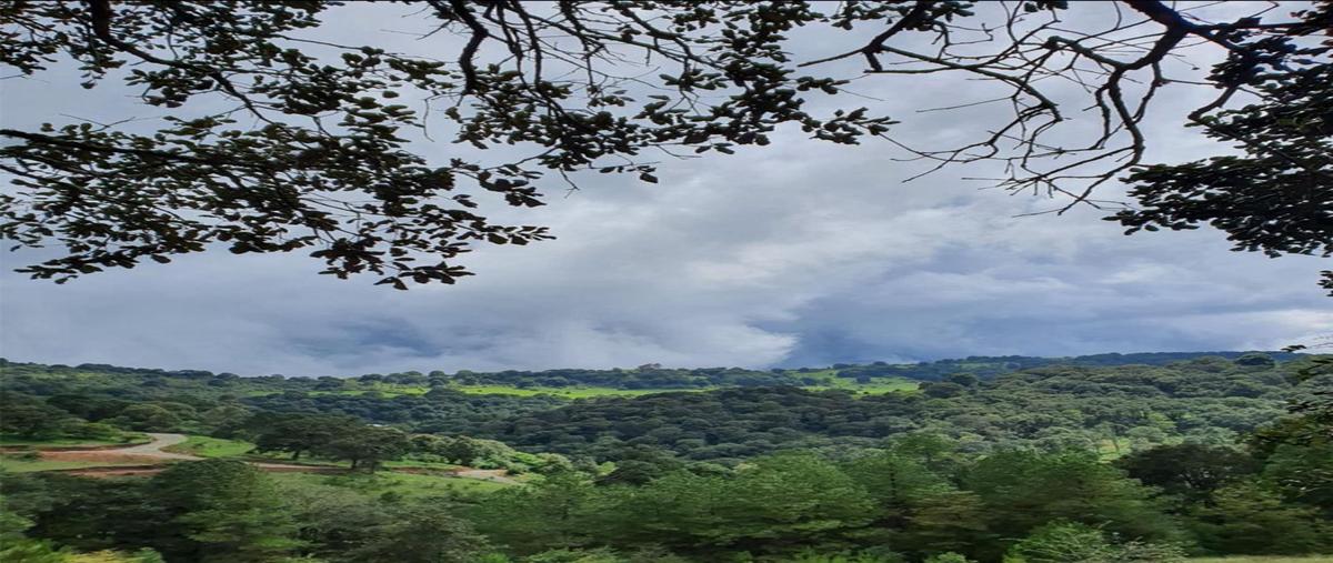 Foto de terreno habitacional en venta en sierra del tigre , mazamitla, mazamitla, jalisco, 27469816 No. 05