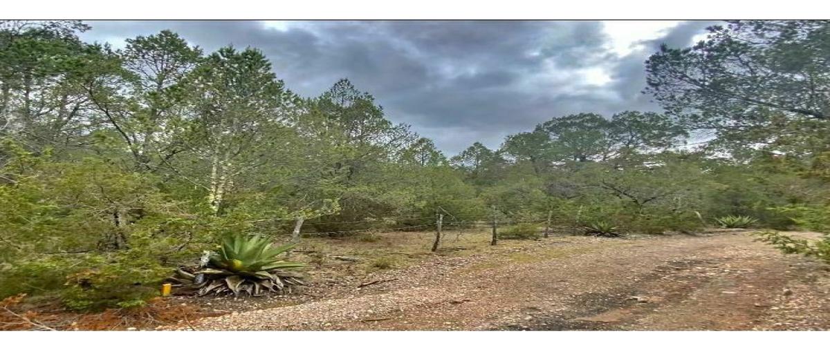 Foto de terreno habitacional en venta en  , sierra hermosa, arteaga, coahuila de zaragoza, 0 No. 03