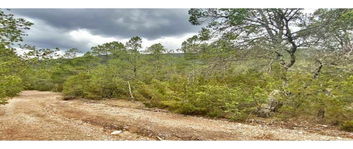 Foto de terreno habitacional en venta en  , sierra hermosa, arteaga, coahuila de zaragoza, 0 No. 05