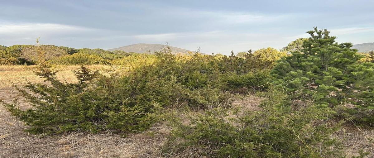 Foto de terreno habitacional en venta en . , sierra hermosa, arteaga, coahuila de zaragoza, 0 No. 03