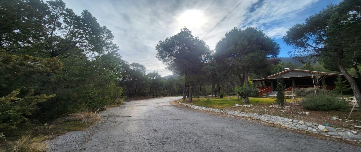 Foto de terreno habitacional en venta en  , sierra hermosa, arteaga, coahuila de zaragoza, 30328655 No. 03
