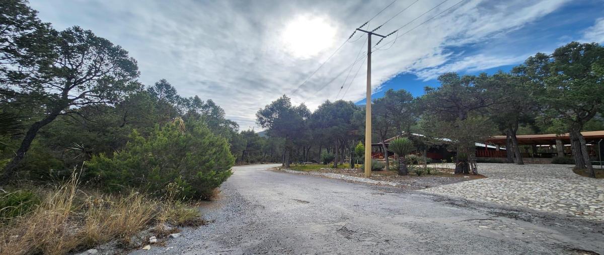 Foto de terreno habitacional en venta en  , sierra hermosa, arteaga, coahuila de zaragoza, 30328655 No. 05