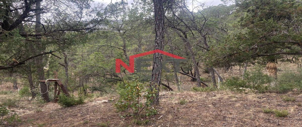 Foto de terreno habitacional en venta en  , sierra hermosa, arteaga, coahuila de zaragoza, 0 No. 03