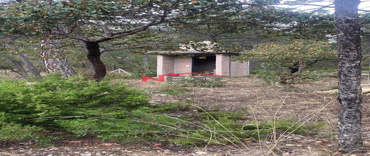Foto de terreno habitacional en venta en  , sierra hermosa, arteaga, coahuila de zaragoza, 0 No. 05