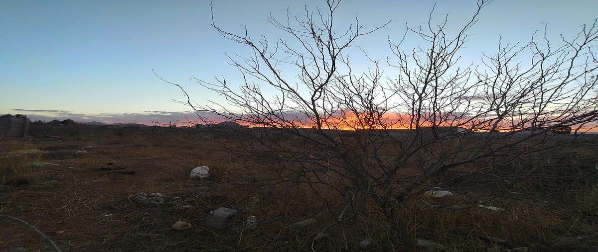 Foto de terreno habitacional en sierra los arados , los nogales, chihuahua, chihuahua, 30951352 foto 03 Foto de terreno habitacional en venta en sierra los arados , los nogales, chihuahua, chihuahua, 30951352 No. 03