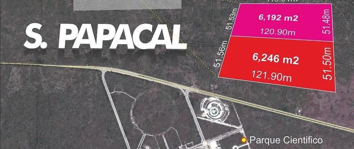Foto de terreno habitacional en venta en  , sierra papacal, mérida, yucatán, 11231803 No. 03