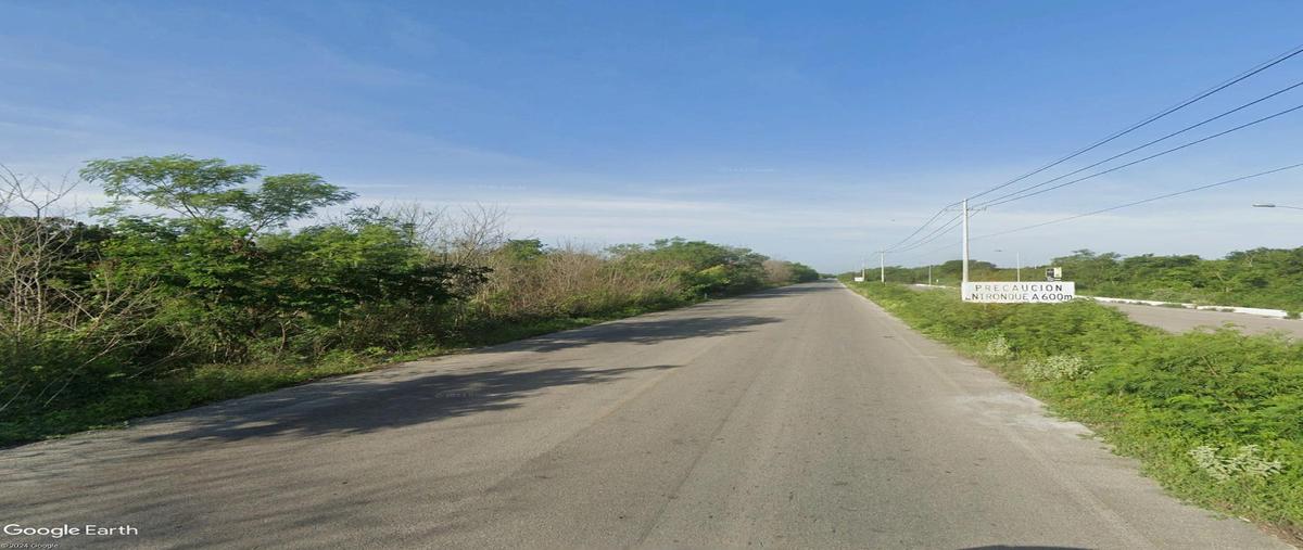 Foto de terreno habitacional en venta en  , sierra papacal, mérida, yucatán, 20666784 No. 04