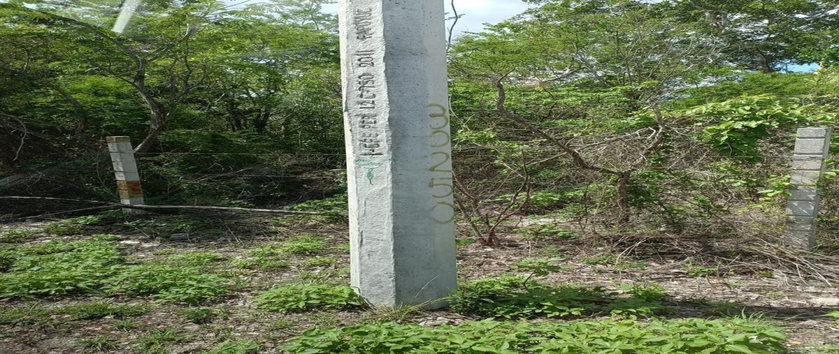 Foto de terreno habitacional en venta en  , sierra papacal, mérida, yucatán, 25196220 No. 03