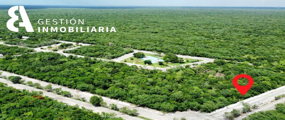 Foto de terreno habitacional en venta en  , sierra papacal, mérida, yucatán, 25264560 No. 04