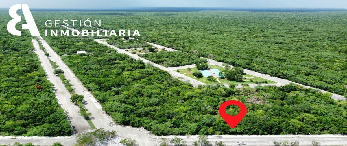 Foto de terreno habitacional en venta en  , sierra papacal, mérida, yucatán, 25264560 No. 05