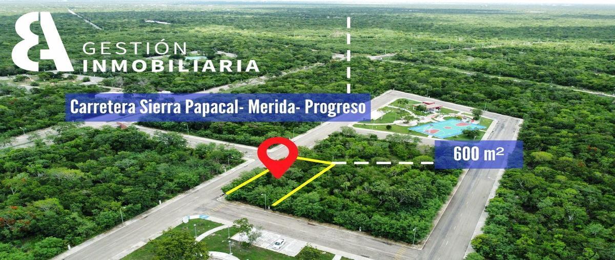 Foto de terreno habitacional en venta en  , sierra papacal, mérida, yucatán, 25264561 No. 03
