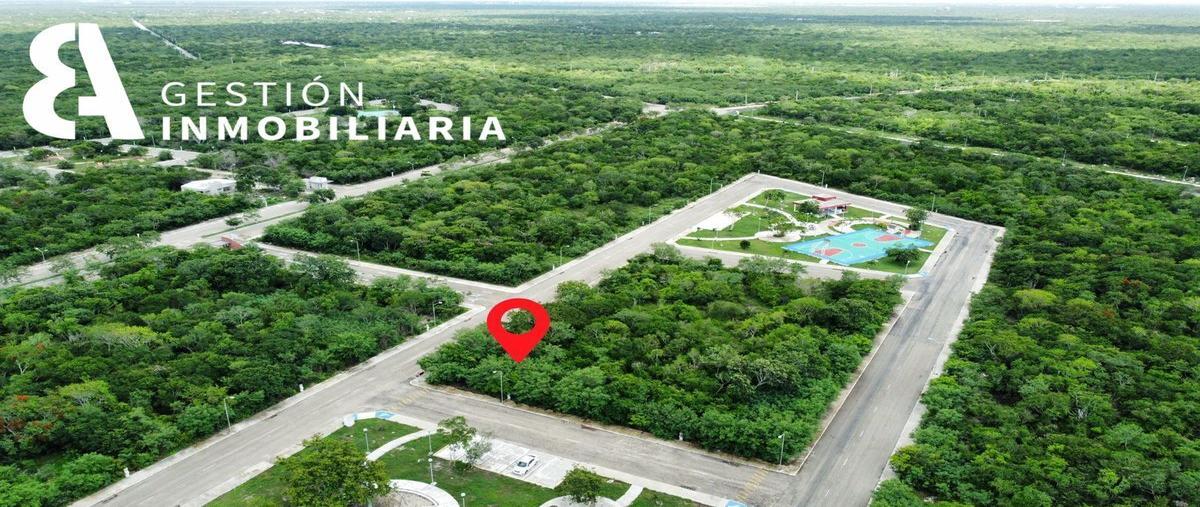 Foto de terreno habitacional en venta en  , sierra papacal, mérida, yucatán, 25264561 No. 04