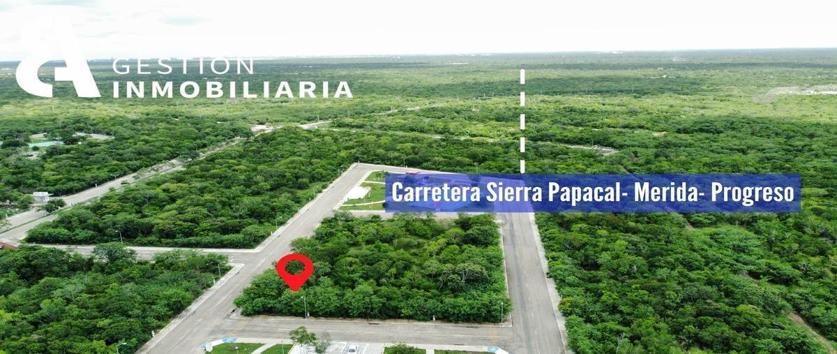 Foto de terreno habitacional en venta en  , sierra papacal, mérida, yucatán, 25264561 No. 05
