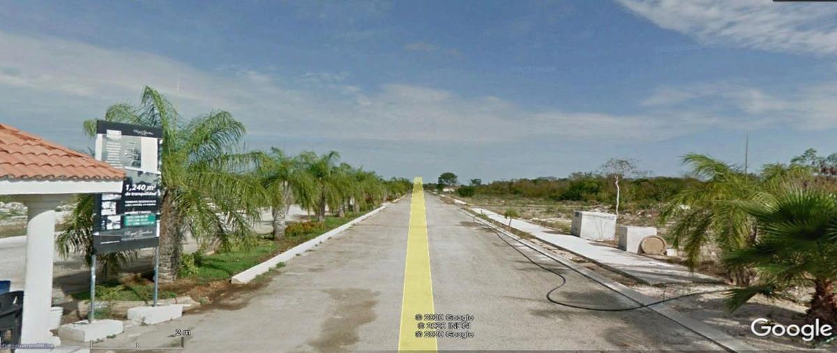 Foto de terreno habitacional en venta en  , sierra papacal, mérida, yucatán, 25265209 No. 03