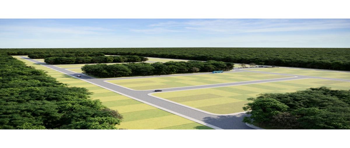 Foto de terreno habitacional en venta en  , sierra papacal, mérida, yucatán, 0 No. 03