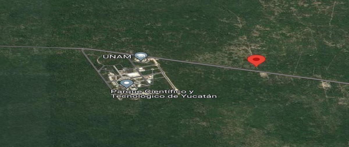 Foto de terreno habitacional en venta en  , sierra papacal, mérida, yucatán, 26682248 No. 05
