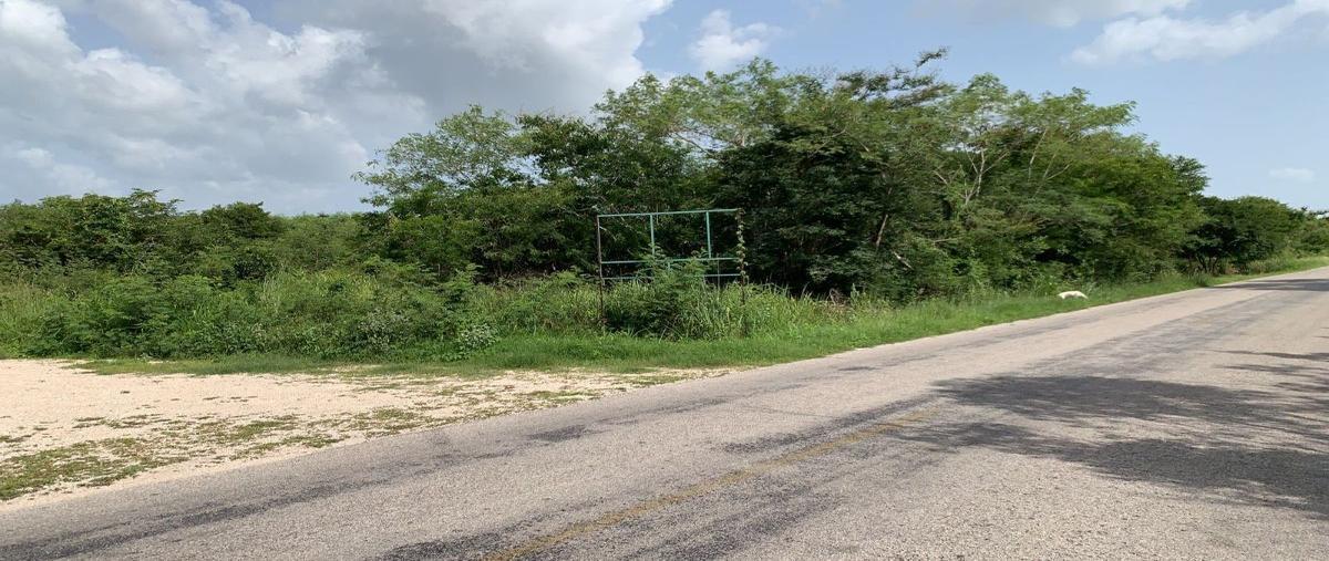 Foto de terreno habitacional en venta en  , sierra papacal, mérida, yucatán, 26701477 No. 03