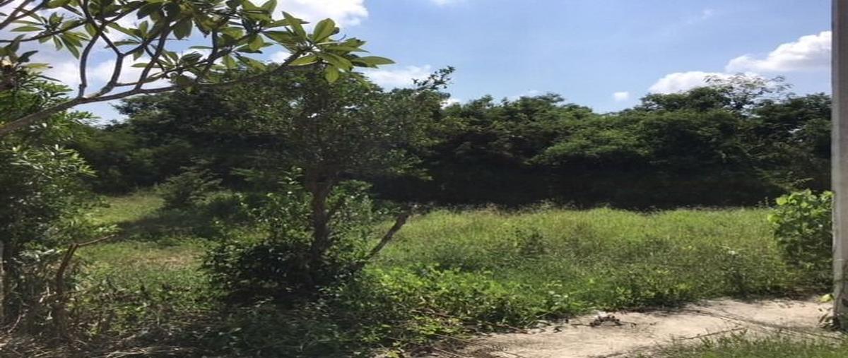 Foto de terreno habitacional en venta en  , sierra papacal, mérida, yucatán, 26701477 No. 04