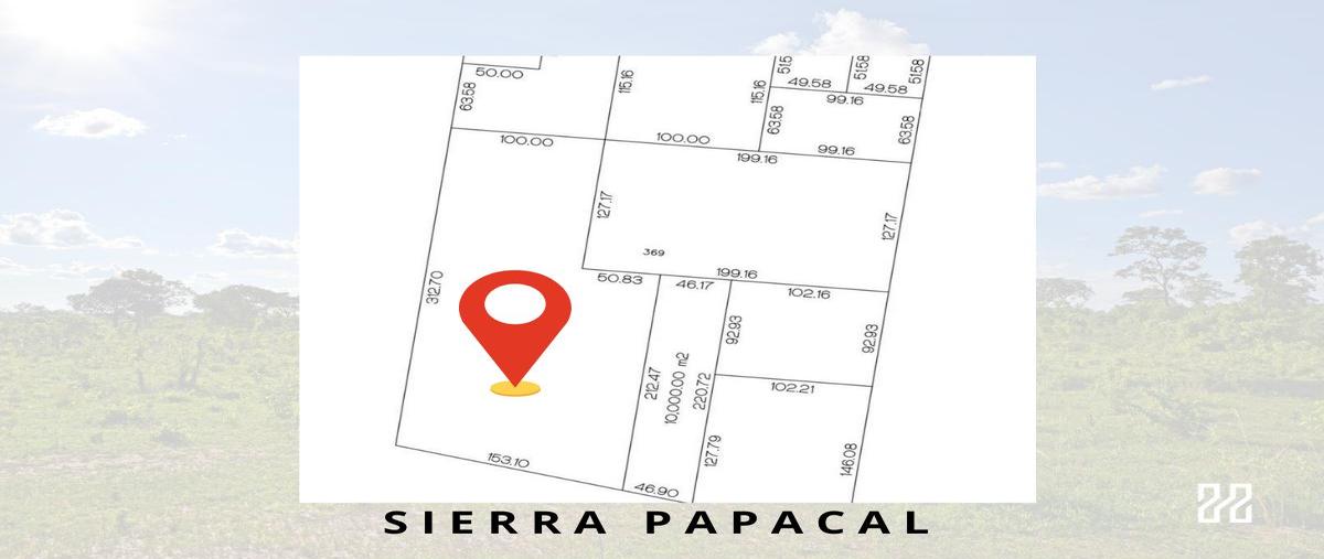 Foto de terreno habitacional en , sierra papacal, mérida, yucatán, 27252564 foto 05 Foto de terreno habitacional en venta en , sierra papacal, mérida, yucatán, 27252564 No. 05