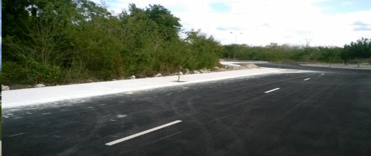 Foto de terreno habitacional en venta en  , sierra papacal, mérida, yucatán, 27314641 No. 04