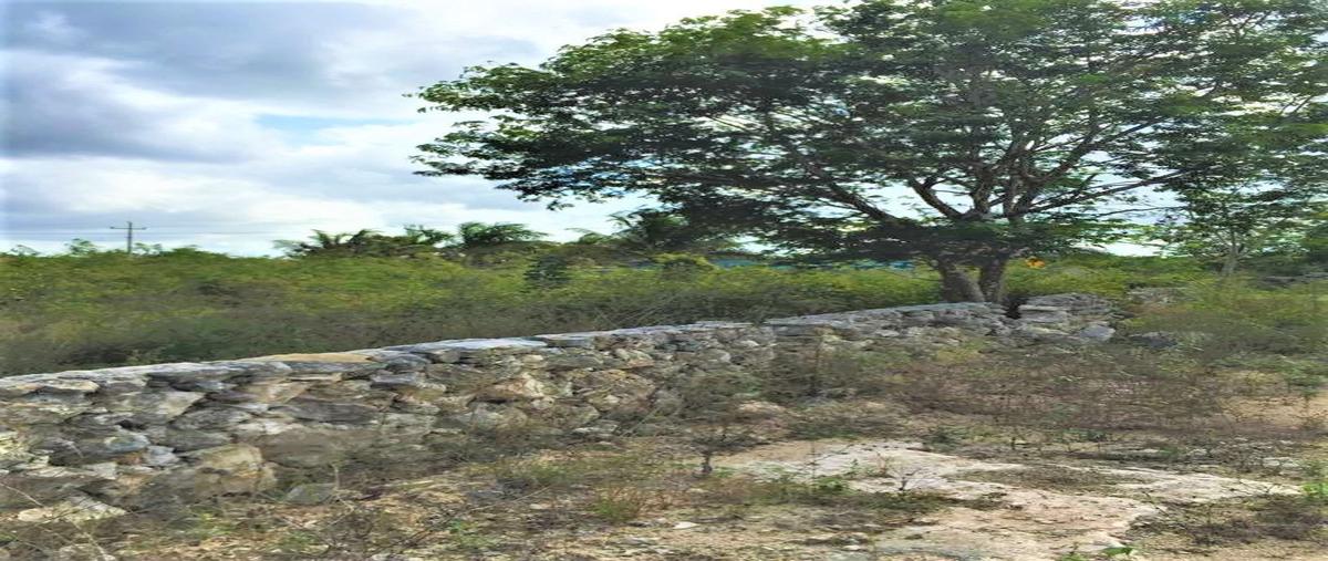 Foto de terreno habitacional en venta en  , sierra papacal, mérida, yucatán, 27432045 No. 03