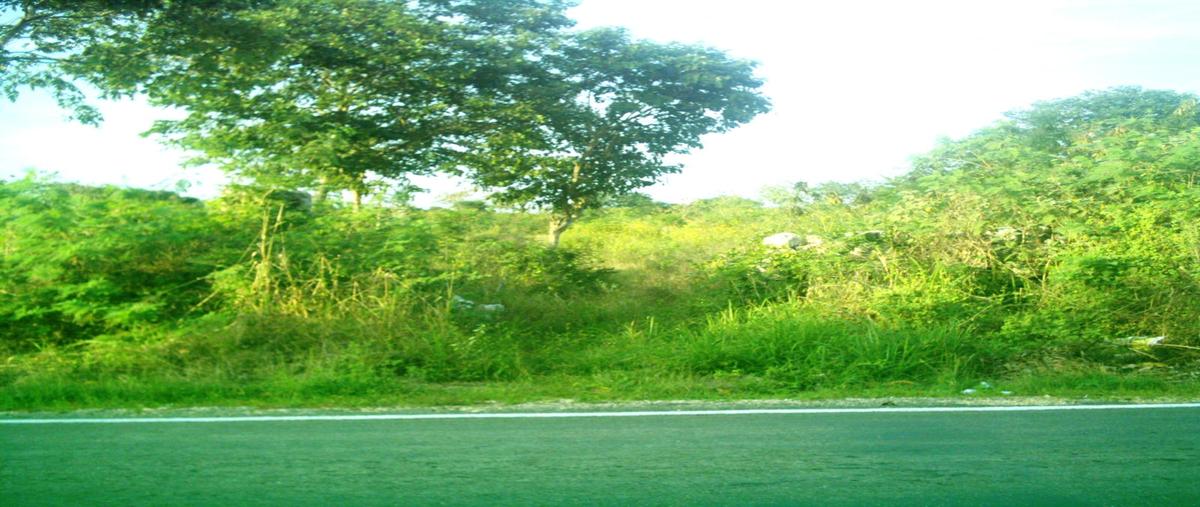 Foto de terreno habitacional en venta en  , sierra papacal, mérida, yucatán, 28073311 No. 05