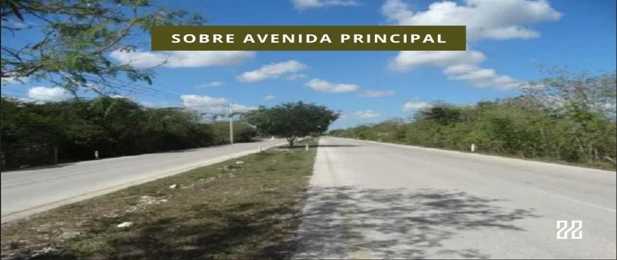 Foto de terreno habitacional en venta en  , sierra papacal, mérida, yucatán, 28157452 No. 03