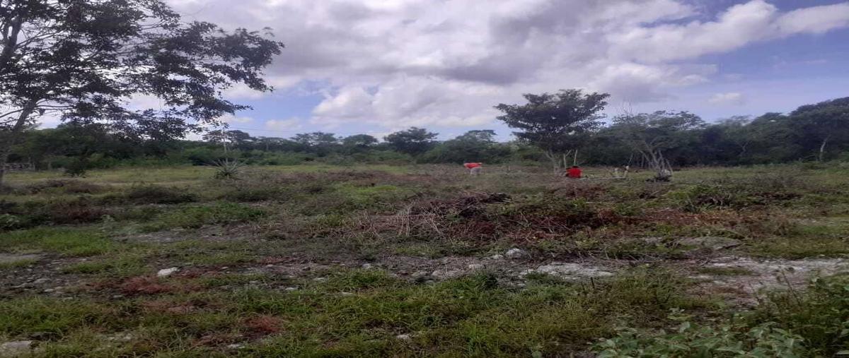 Foto de terreno habitacional en , sierra papacal, mérida, yucatán, 28199841 foto 01 Foto de terreno habitacional en venta en , sierra papacal, mérida, yucatán, 28199841 No. 01