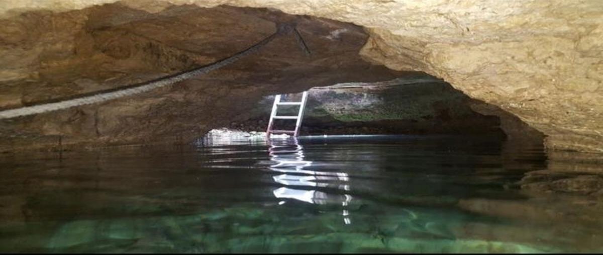 Foto de terreno habitacional en , sierra papacal, mérida, yucatán, 28199841 foto 04 Foto de terreno habitacional en venta en , sierra papacal, mérida, yucatán, 28199841 No. 04