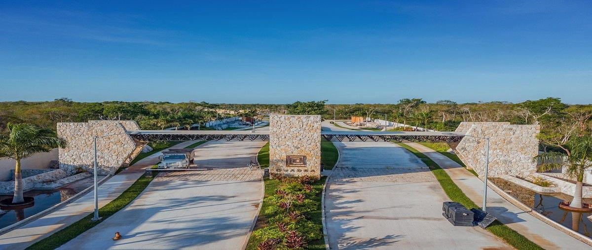 Foto de terreno habitacional en venta en  , sierra papacal, mérida, yucatán, 28519554 No. 08