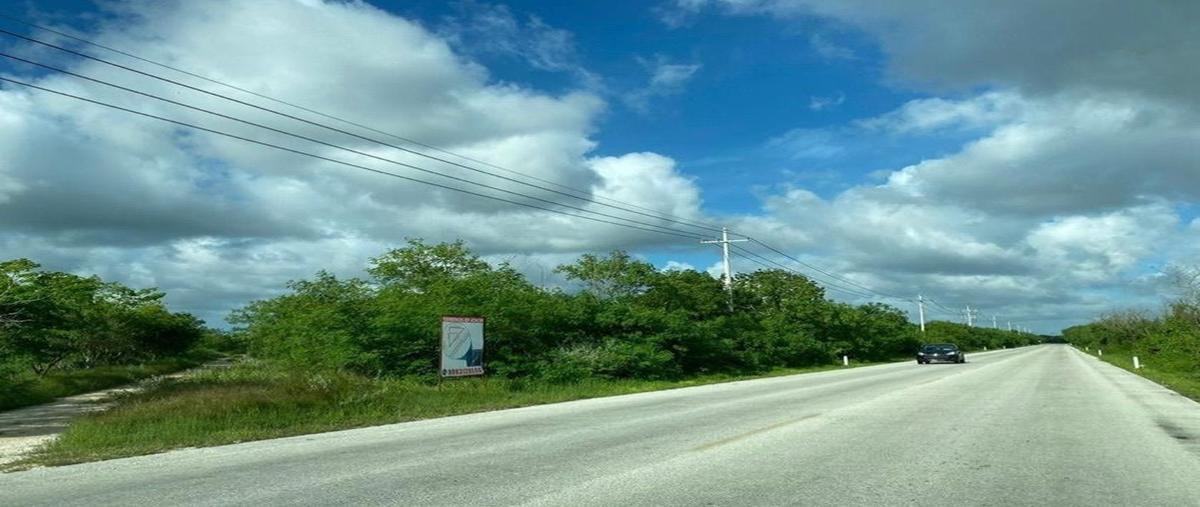 Foto de terreno habitacional en , sierra papacal, mérida, yucatán, 0 foto 01 Foto de terreno habitacional en venta en , sierra papacal, mérida, yucatán, 0 No. 01