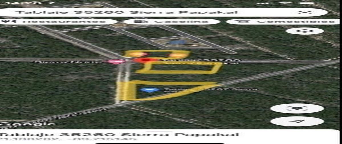 Foto de terreno habitacional en , sierra papacal, mérida, yucatán, 0 foto 02 Foto de terreno habitacional en venta en , sierra papacal, mérida, yucatán, 0 No. 02