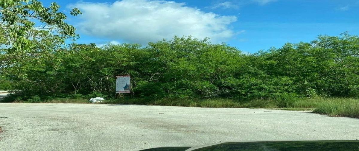 Foto de terreno habitacional en , sierra papacal, mérida, yucatán, 0 foto 03 Foto de terreno habitacional en venta en , sierra papacal, mérida, yucatán, 0 No. 03