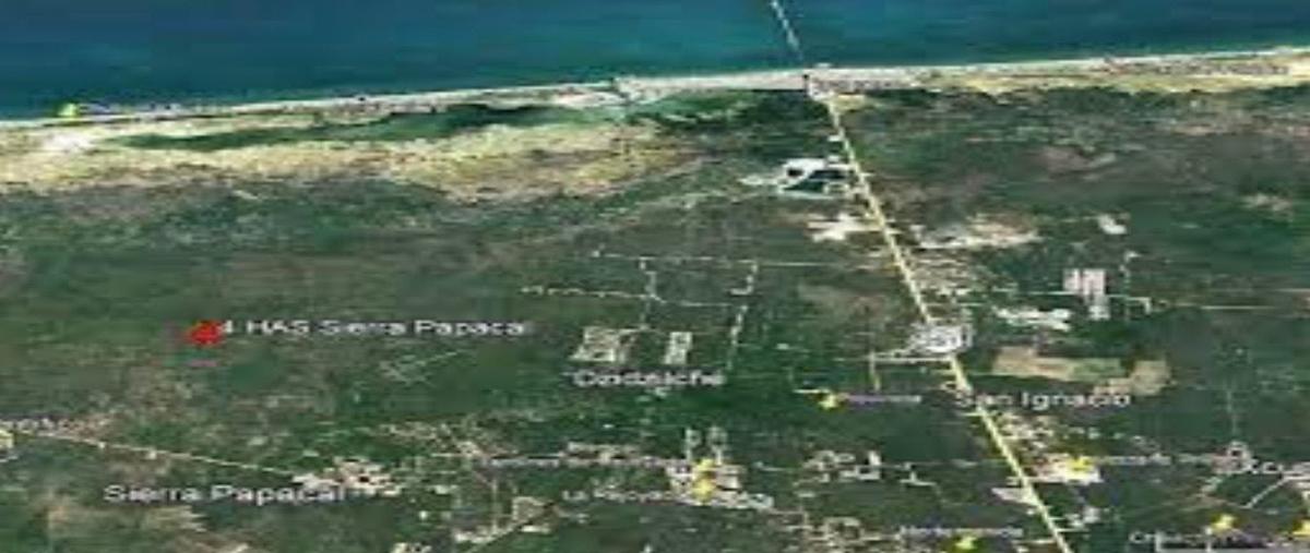 Foto de terreno habitacional en , sierra papacal, mérida, yucatán, 0 foto 05 Foto de terreno habitacional en venta en , sierra papacal, mérida, yucatán, 0 No. 05