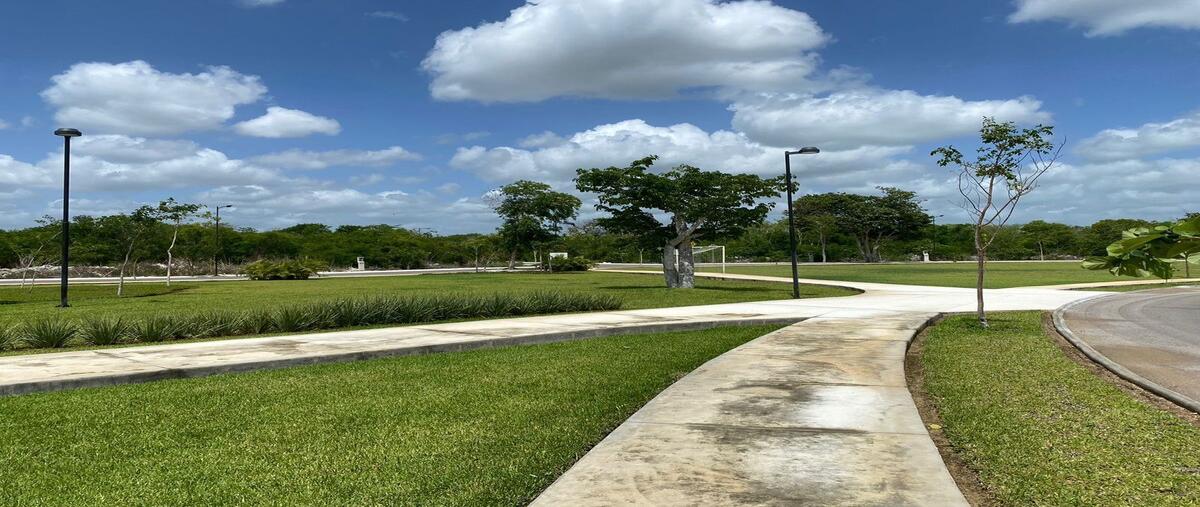 Foto de terreno habitacional en venta en  , sierra papacal, mérida, yucatán, 0 No. 03