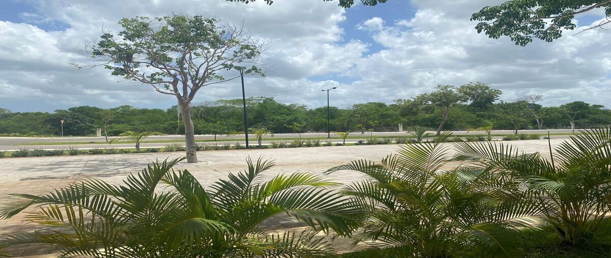 Foto de terreno habitacional en venta en  , sierra papacal, mérida, yucatán, 0 No. 04